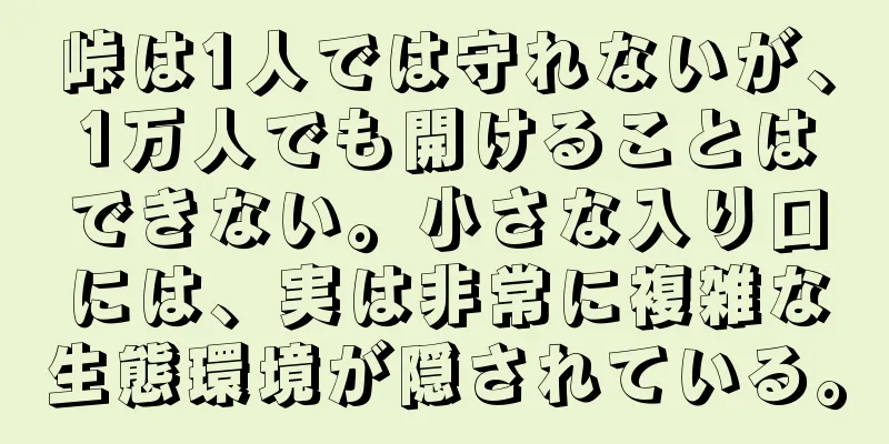 峠は1人では守れないが、1万人でも開けることはできない。小さな入り口には、実は非常に複雑な生態環境が隠されている。