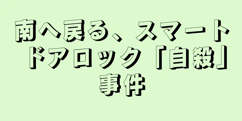 南へ戻る、スマートドアロック「自殺」事件