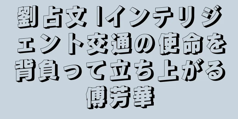劉占文 |インテリジェント交通の使命を背負って立ち上がる傅芳華