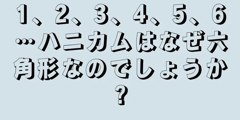 1、2、3、4、5、6…ハニカムはなぜ六角形なのでしょうか?