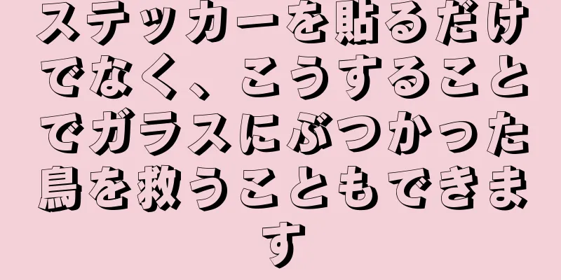 ステッカーを貼るだけでなく、こうすることでガラスにぶつかった鳥を救うこともできます