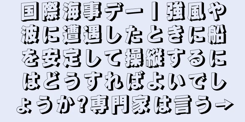 国際海事デー丨強風や波に遭遇したときに船を安定して操縦するにはどうすればよいでしょうか?専門家は言う→