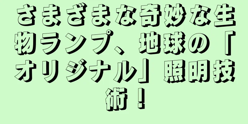さまざまな奇妙な生物ランプ、地球の「オリジナル」照明技術！