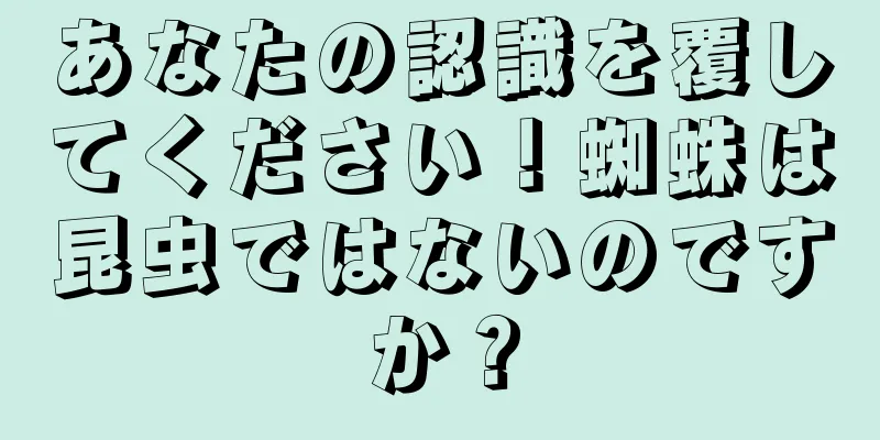あなたの認識を覆してください！蜘蛛は昆虫ではないのですか？