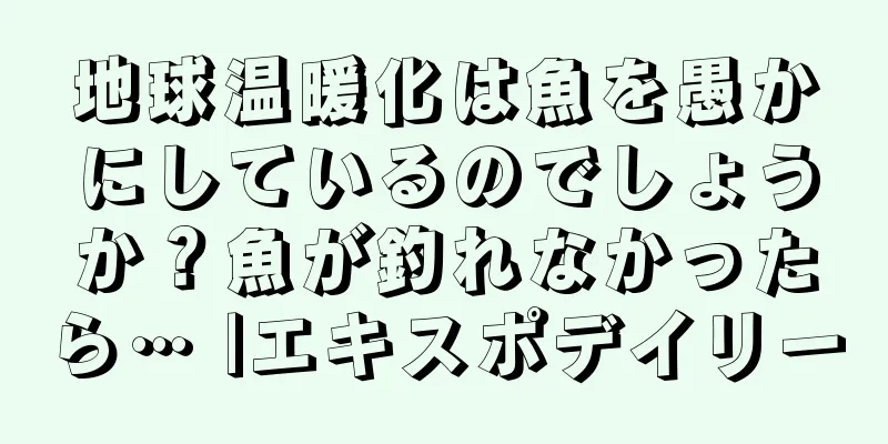 地球温暖化は魚を愚かにしているのでしょうか？魚が釣れなかったら… |エキスポデイリー