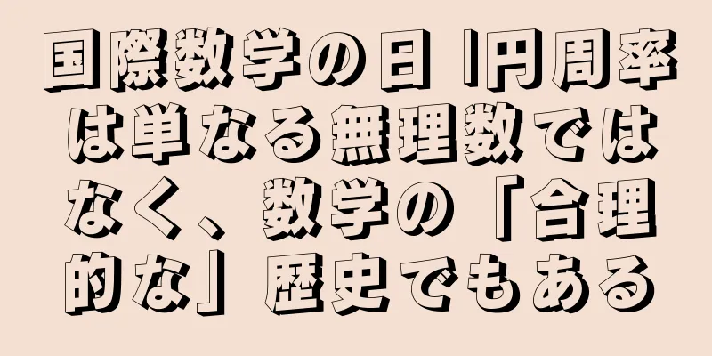 国際数学の日 |円周率は単なる無理数ではなく、数学の「合理的な」歴史でもある