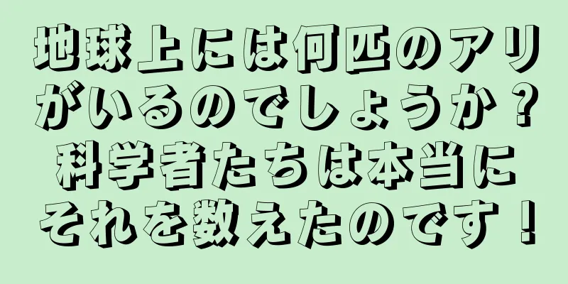 地球上には何匹のアリがいるのでしょうか？科学者たちは本当にそれを数えたのです！