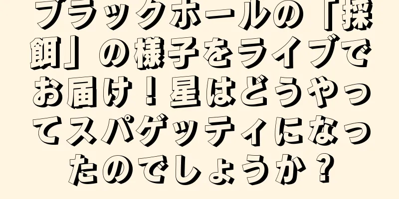 ブラックホールの「採餌」の様子をライブでお届け！星はどうやってスパゲッティになったのでしょうか？