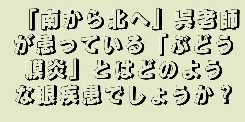 「南から北へ」呉老師が患っている「ぶどう膜炎」とはどのような眼疾患でしょうか？