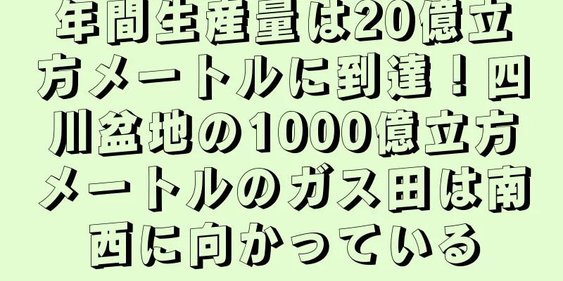 年間生産量は20億立方メートルに到達！四川盆地の1000億立方メートルのガス田は南西に向かっている