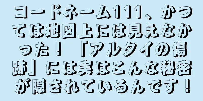 コードネーム111、かつては地図上には見えなかった！ 「アルタイの傷跡」には実はこんな秘密が隠されているんです！