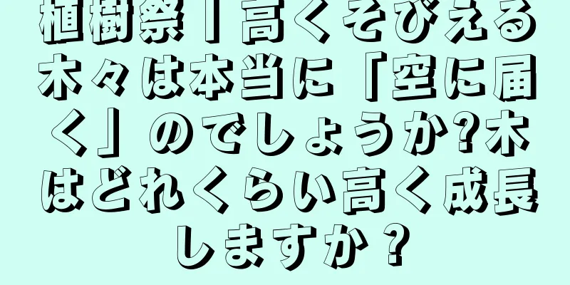 植樹祭丨高くそびえる木々は本当に「空に届く」のでしょうか?木はどれくらい高く成長しますか？