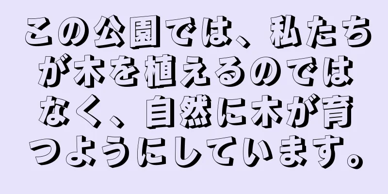 この公園では、私たちが木を植えるのではなく、自然に木が育つようにしています。