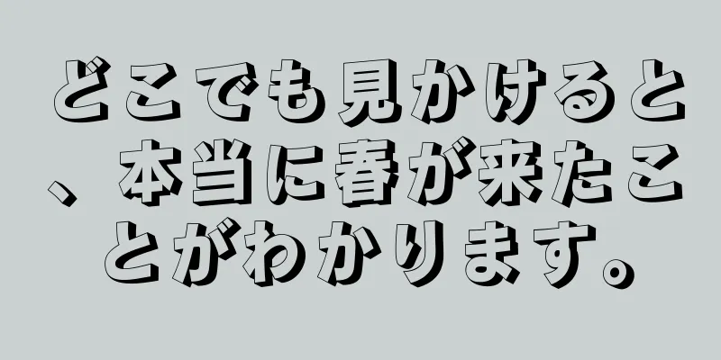 どこでも見かけると、本当に春が来たことがわかります。