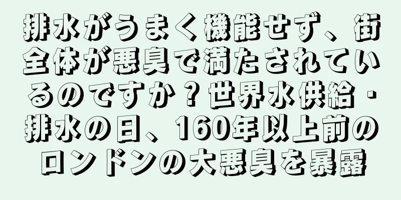排水がうまく機能せず、街全体が悪臭で満たされているのですか？世界水供給・排水の日、160年以上前のロンドンの大悪臭を暴露