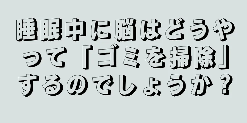 睡眠中に脳はどうやって「ゴミを掃除」するのでしょうか？