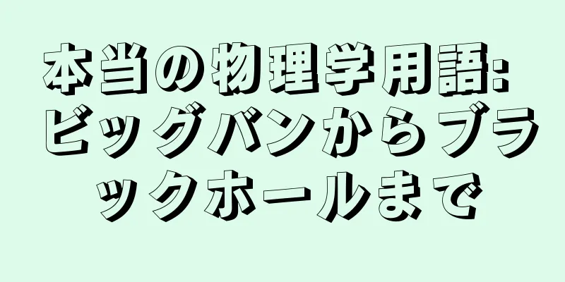 本当の物理学用語: ビッグバンからブラックホールまで
