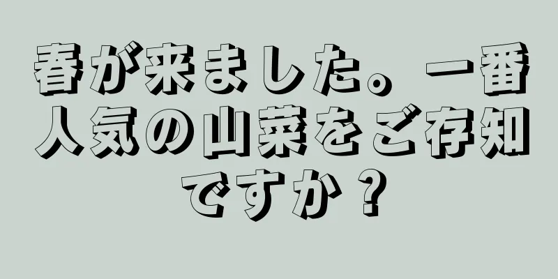 春が来ました。一番人気の山菜をご存知ですか？
