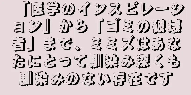 「医学のインスピレーション」から「ゴミの破壊者」まで、ミミズはあなたにとって馴染み深くも馴染みのない存在です