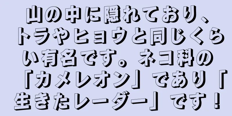 山の中に隠れており、トラやヒョウと同じくらい有名です。ネコ科の「カメレオン」であり「生きたレーダー」です！