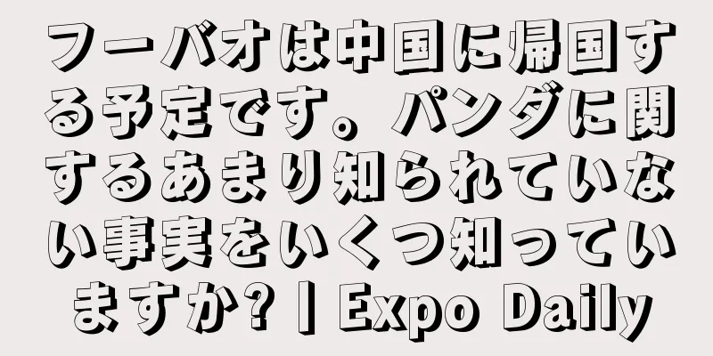 フーバオは中国に帰国する予定です。パンダに関するあまり知られていない事実をいくつ知っていますか?丨Expo Daily