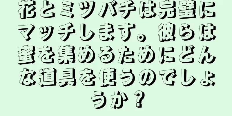 花とミツバチは完璧にマッチします。彼らは蜜を集めるためにどんな道具を使うのでしょうか？