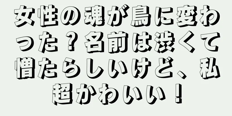 女性の魂が鳥に変わった？名前は渋くて憎たらしいけど、私超かわいい！