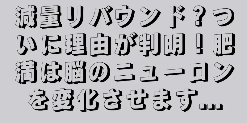 減量リバウンド？ついに理由が判明！肥満は脳のニューロンを変化させます...