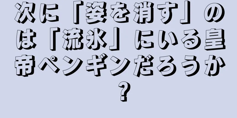 次に「姿を消す」のは「流氷」にいる皇帝ペンギンだろうか？