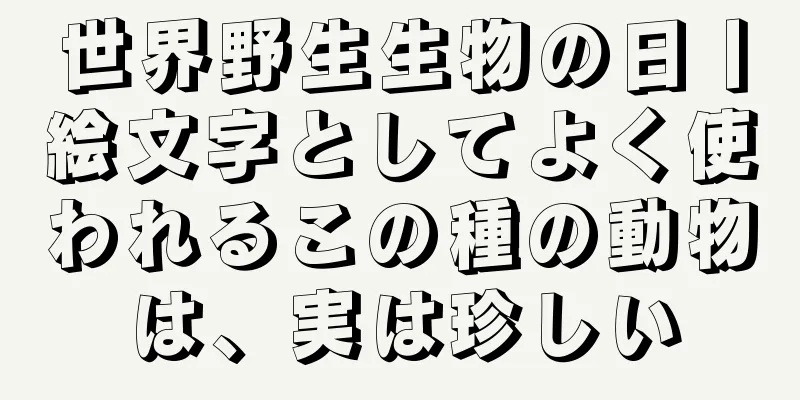 世界野生生物の日丨絵文字としてよく使われるこの種の動物は、実は珍しい