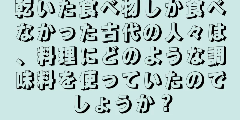 乾いた食べ物しか食べなかった古代の人々は、料理にどのような調味料を使っていたのでしょうか？
