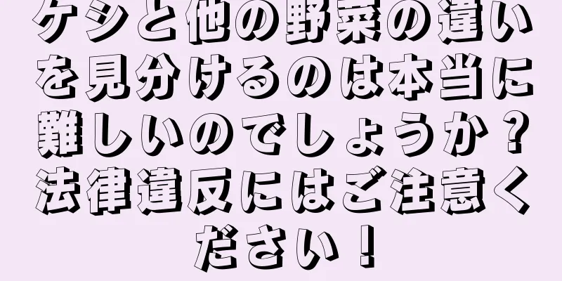 ケシと他の野菜の違いを見分けるのは本当に難しいのでしょうか？法律違反にはご注意ください！