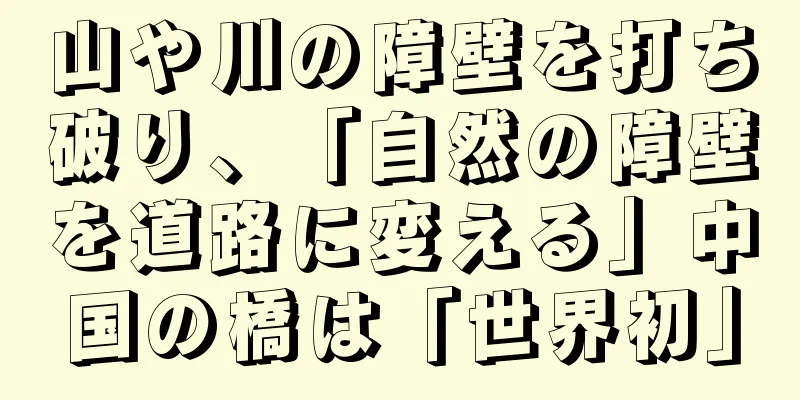 山や川の障壁を打ち破り、「自然の障壁を道路に変える」中国の橋は「世界初」