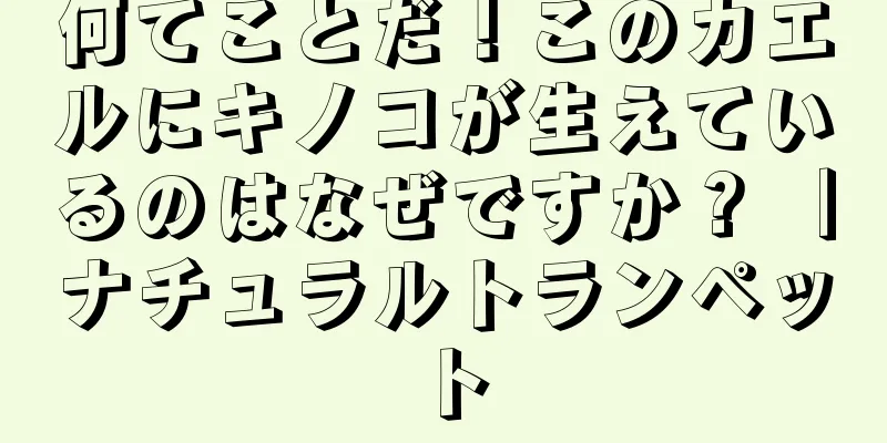 何てことだ！このカエルにキノコが生えているのはなぜですか？ ｜ナチュラルトランペット