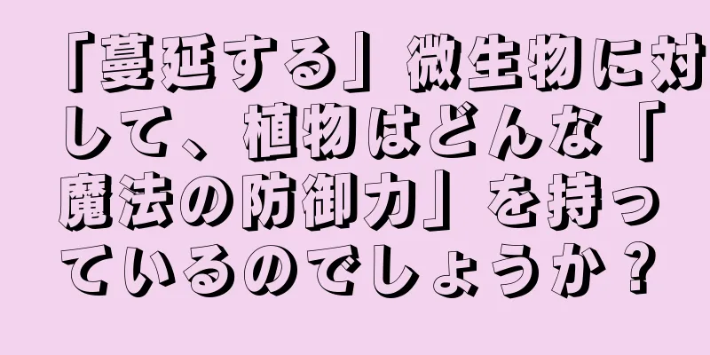 「蔓延する」微生物に対して、植物はどんな「魔法の防御力」を持っているのでしょうか？