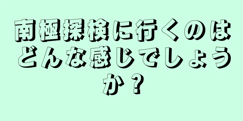 南極探検に行くのはどんな感じでしょうか？