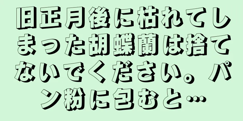 旧正月後に枯れてしまった胡蝶蘭は捨てないでください。パン粉に包むと…