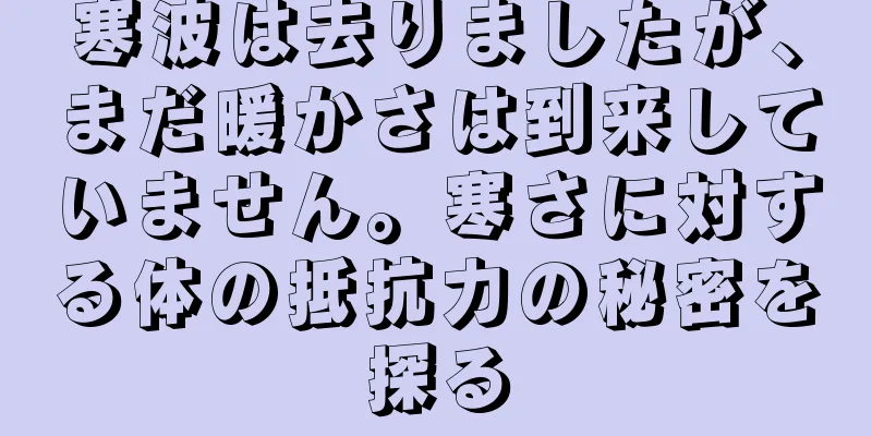 寒波は去りましたが、まだ暖かさは到来していません。寒さに対する体の抵抗力の秘密を探る