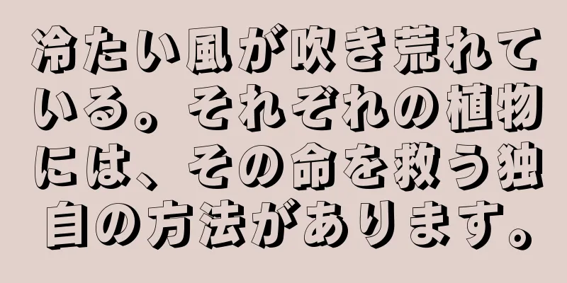 冷たい風が吹き荒れている。それぞれの植物には、その命を救う独自の方法があります。
