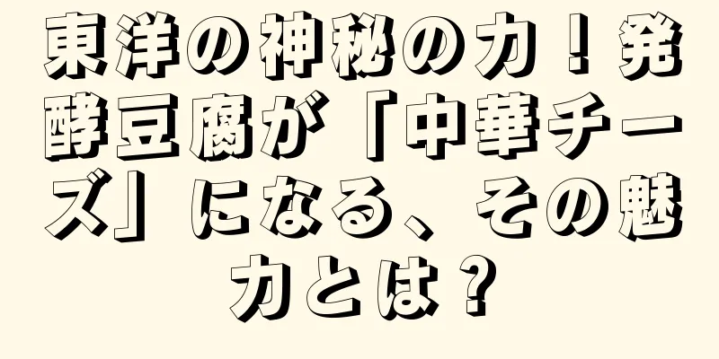 東洋の神秘の力！発酵豆腐が「中華チーズ」になる、その魅力とは？