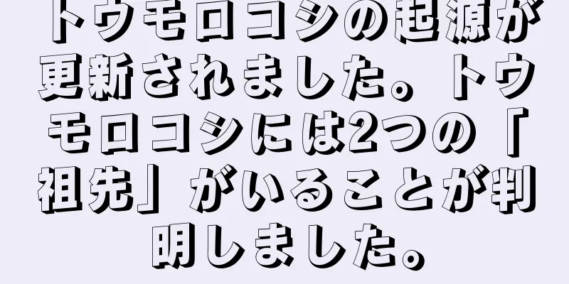 トウモロコシの起源が更新されました。トウモロコシには2つの「祖先」がいることが判明しました。