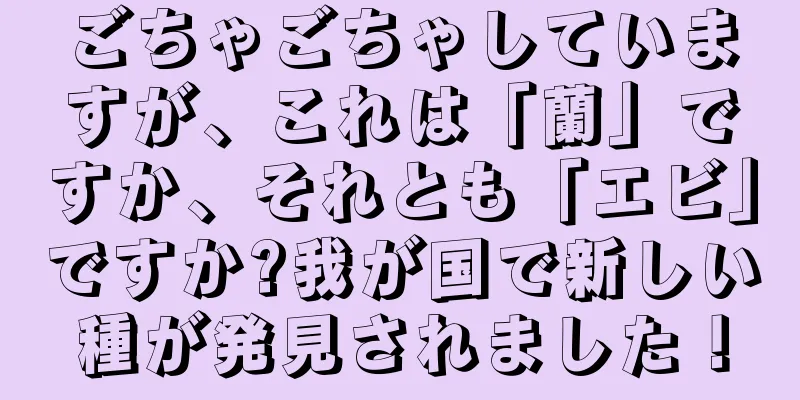 ごちゃごちゃしていますが、これは「蘭」ですか、それとも「エビ」ですか?我が国で新しい種が発見されました！