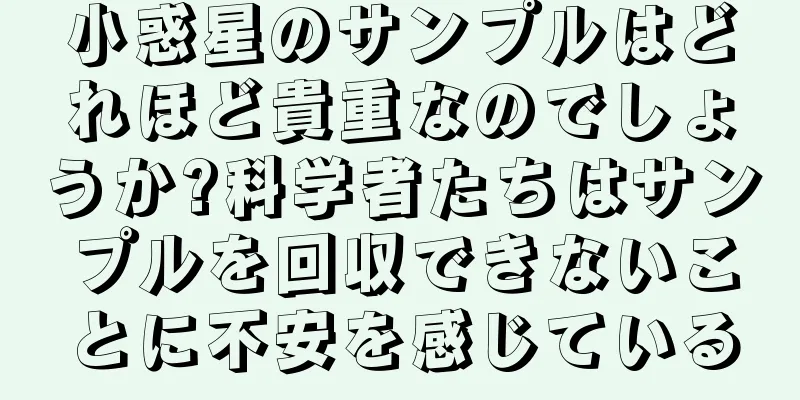 小惑星のサンプルはどれほど貴重なのでしょうか?科学者たちはサンプルを回収できないことに不安を感じている