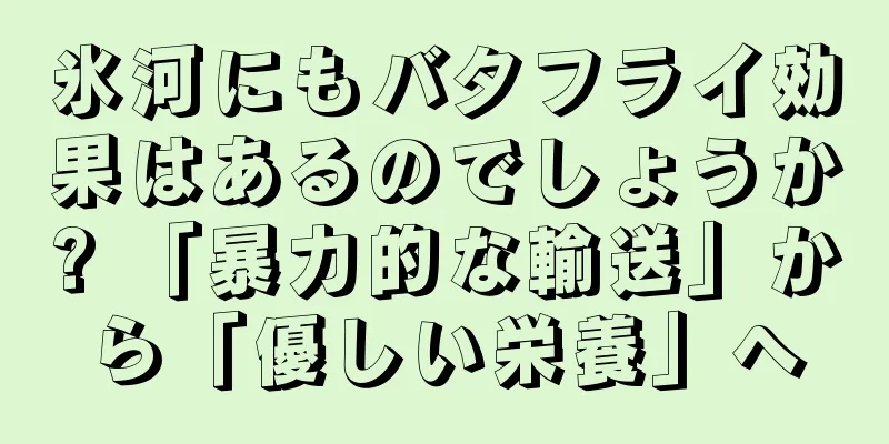氷河にもバタフライ効果はあるのでしょうか? 「暴力的な輸送」から「優しい栄養」へ