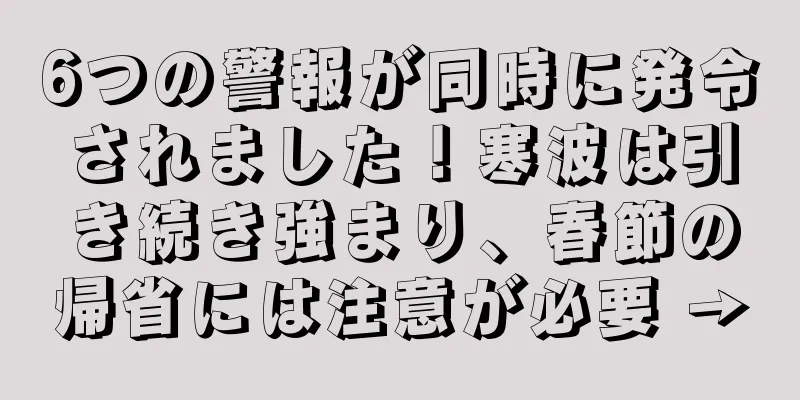 6つの警報が同時に発令されました！寒波は引き続き強まり、春節の帰省には注意が必要 →