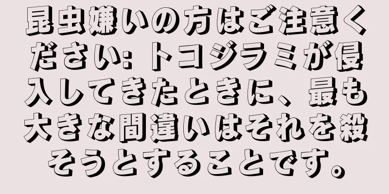 昆虫嫌いの方はご注意ください: トコジラミが侵入してきたときに、最も大きな間違いはそれを殺そうとすることです。
