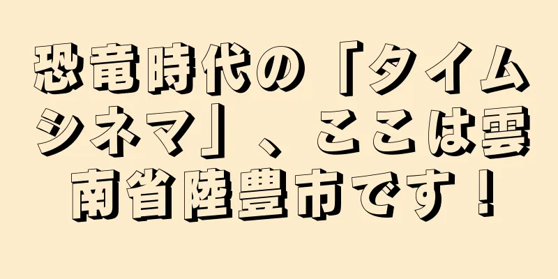 恐竜時代の「タイムシネマ」、ここは雲南省陸豊市です！