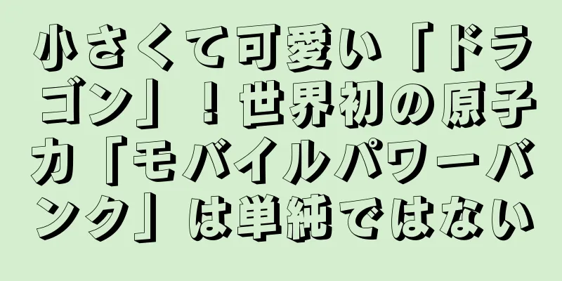 小さくて可愛い「ドラゴン」！世界初の原子力「モバイルパワーバンク」は単純ではない