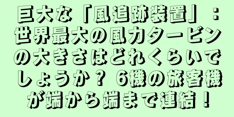 巨大な「風追跡装置」：世界最大の風力タービンの大きさはどれくらいでしょうか？ 6機の旅客機が端から端まで連結！