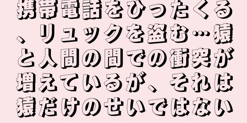 携帯電話をひったくる、リュックを盗む…猿と人間の間での衝突が増えているが、それは猿だけのせいではない